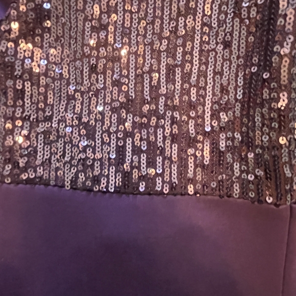 Beautiful, Aubergine colored, Sequin floor-length formal gown - Picture 7 of 9